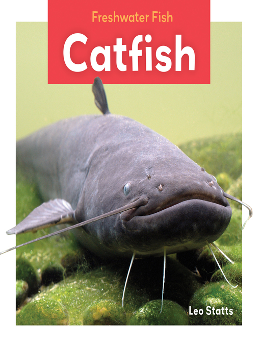 Leo Statts创作的Catfish作品的详细信息 - 可供借阅